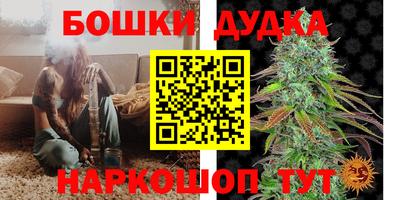 индика Жуковский