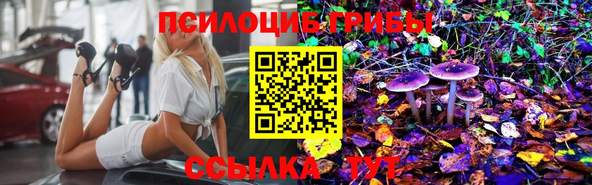 Галлюциногенные грибы Psilocybe  Вход с VPN  Новошахтинск  Галлюциногенные грибы MAGIC MUSHROOMS 
